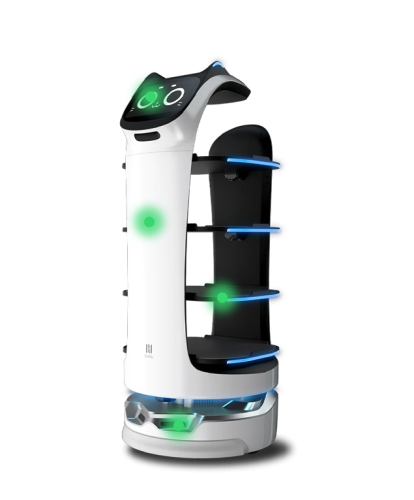 Delivery Robots